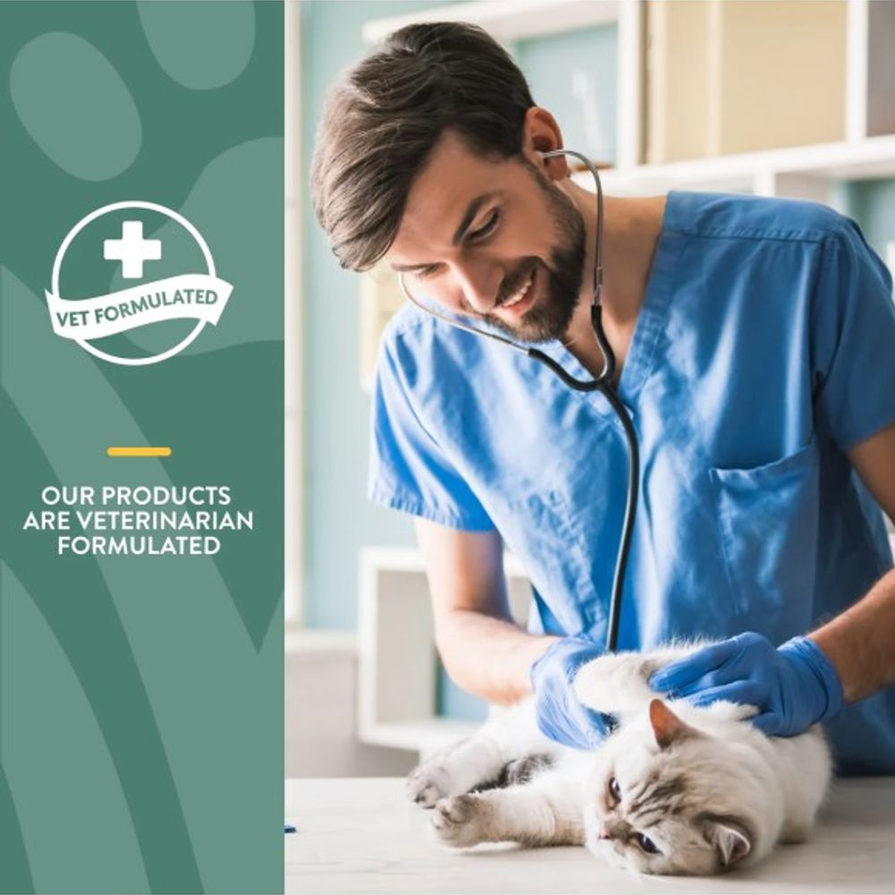 NaturVet, Hemp Joint Health Soft Chews For Cats, 60 ct