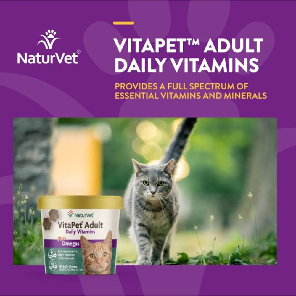 NaturVet, VitaPet Adult Daily Vitamins Soft Chew For Cats, 60 ct