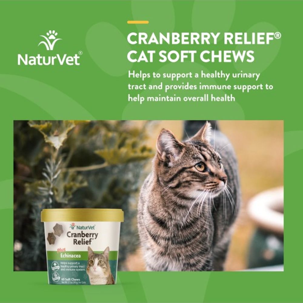 NaturVet, Cranberry Relief Soft Chew For Cats, 60 ct