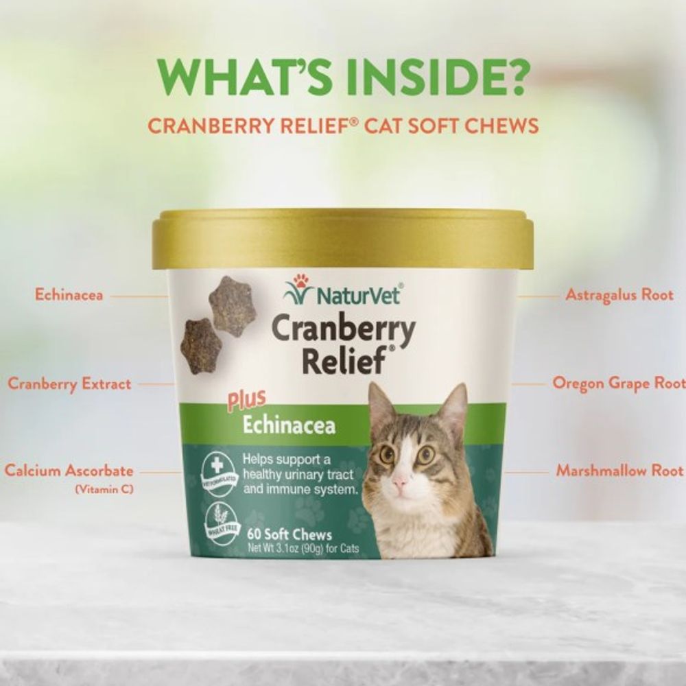 NaturVet, Cranberry Relief Soft Chew For Cats, 60 ct