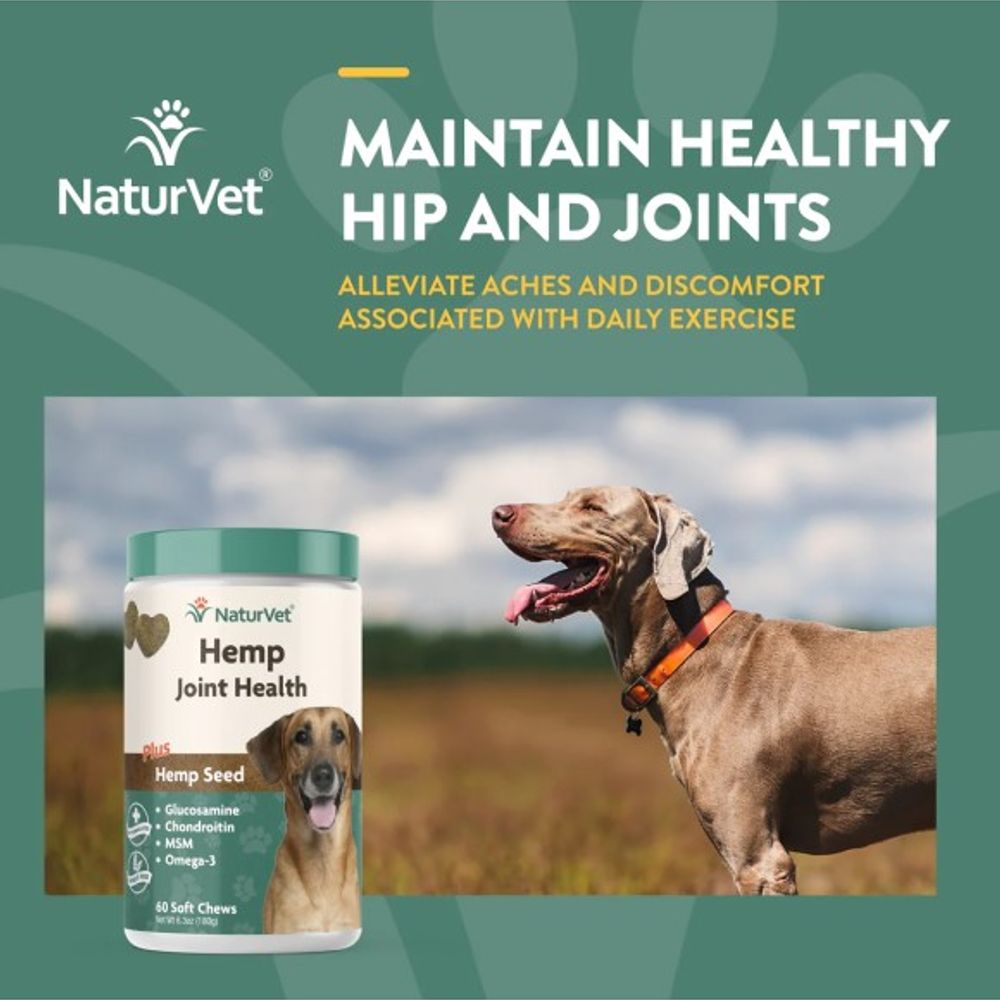 NaturVet, Hemp Joint Health Soft Chew For Dogs, 60 ct