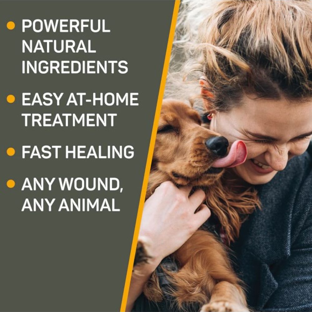 Silver Honey, Antimicrobial Hot Spot & Wound Care Ointment, 2 oz