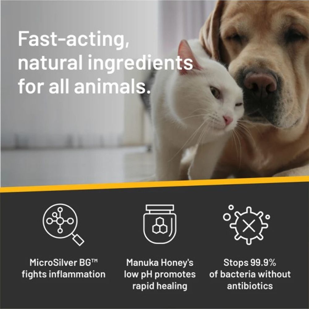 Silver Honey, Antimicrobial Hot Spot & Wound Care Ointment, 2 oz