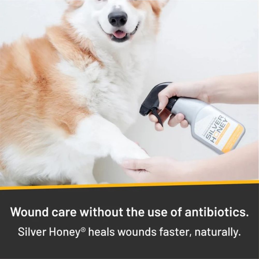 Silver Honey, Antimicrobial Hot Spot & Wound Care Spray Gel, 8 oz