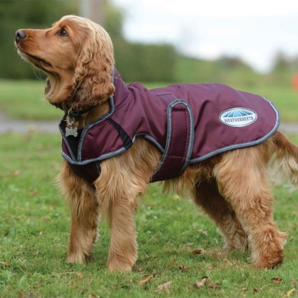 Weatherbeeta, Maroon/Grey/White Comfitec Windbreaker Free Deluxe Dog Coat