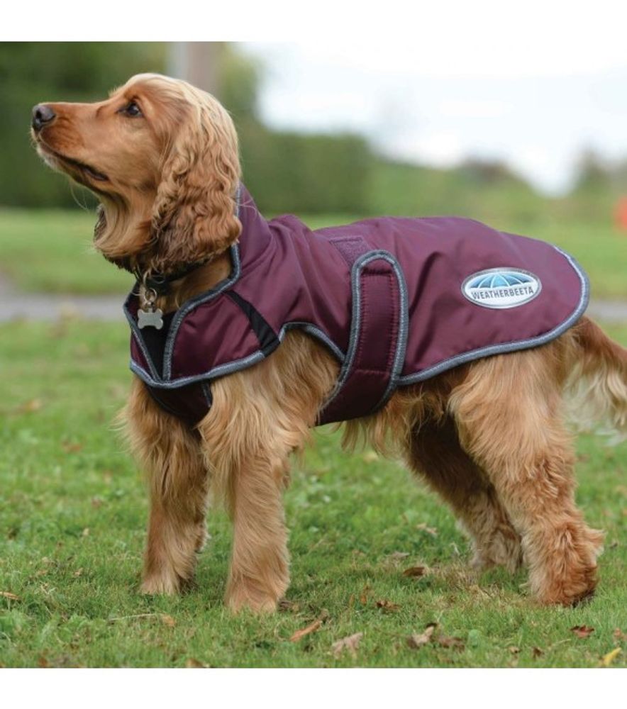 Weatherbeeta, Maroon/Grey/White Comfitec Windbreaker Free Deluxe Dog Coat
