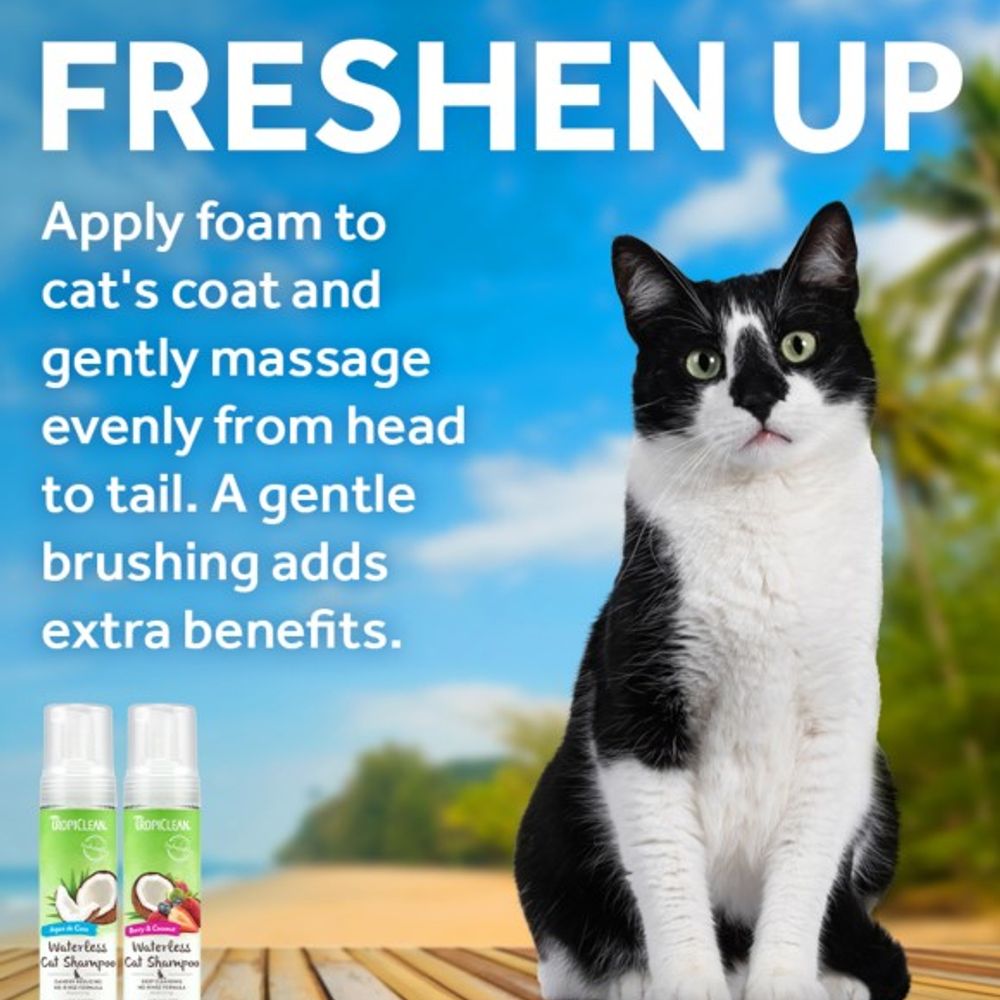 Tropiclean, Berry & Coconut Deep Cleansing Waterless Cat Shampoo, 7.4 oz