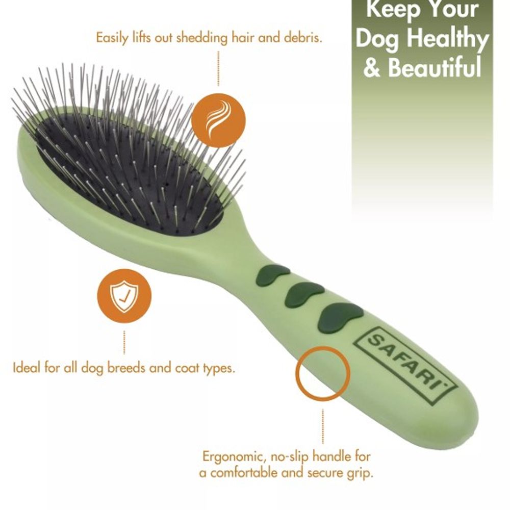 Safari, Wire Pin Dog Brush With Plastic Handle