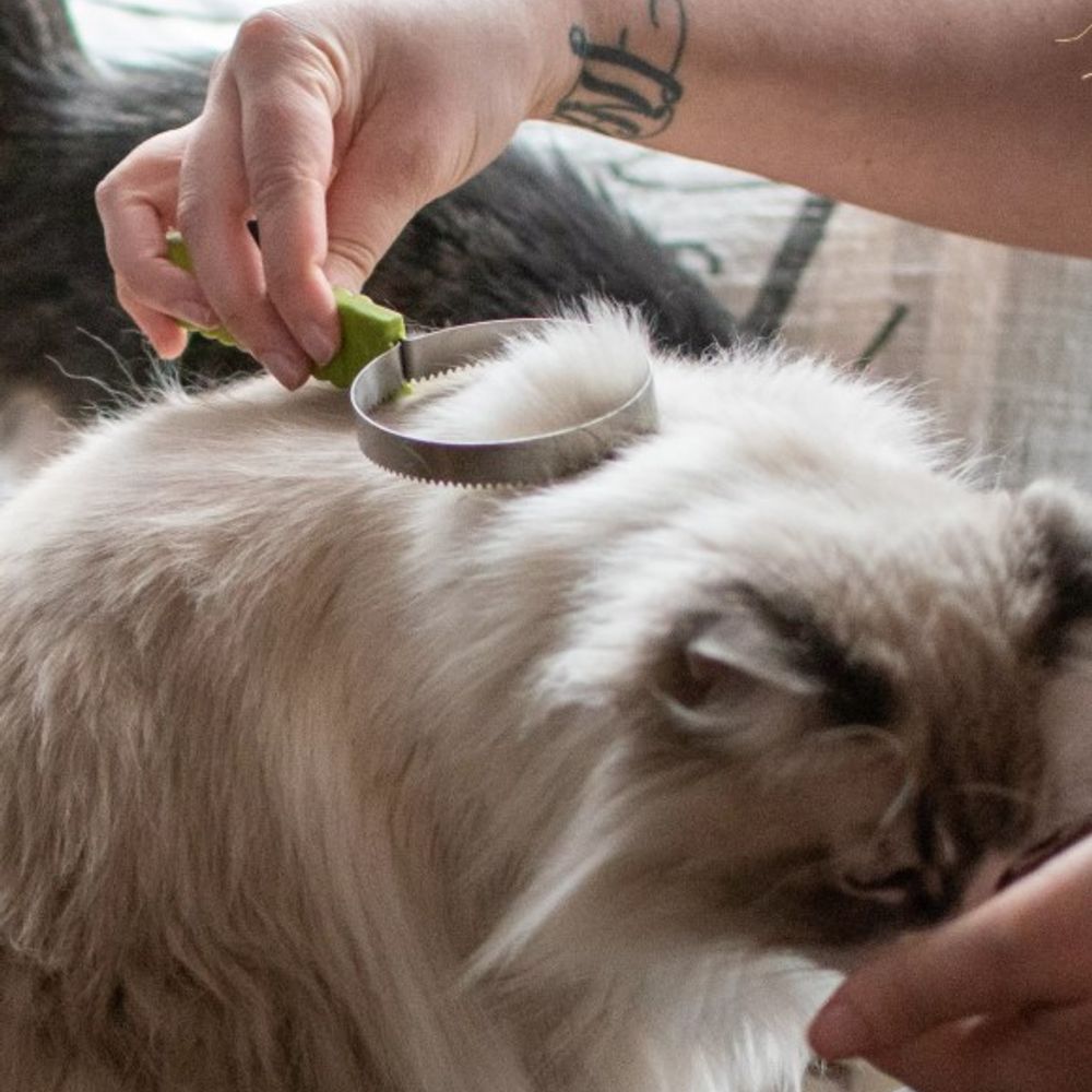 Safari, Cat Shedding Blade