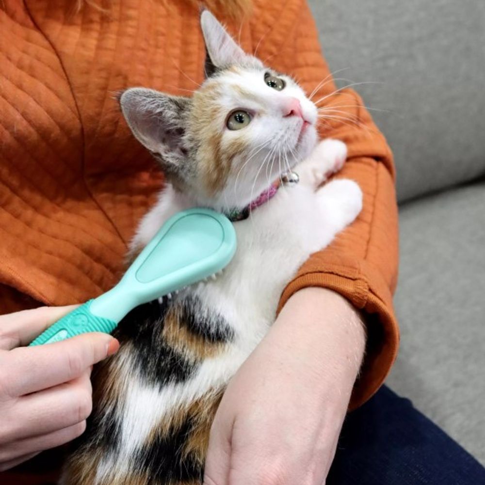 Lil Pals, Kitten Bristle Brush