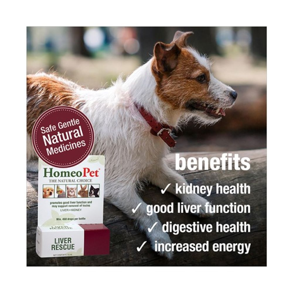 Homeopet, Liver Rescue, 15 ml