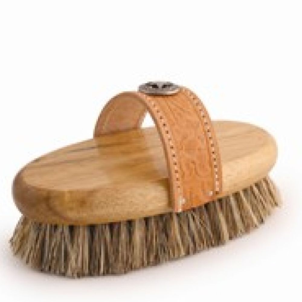 Desert Equestrian, 8" Legends Union Fiber Large Western Style Oval Grooming Brush