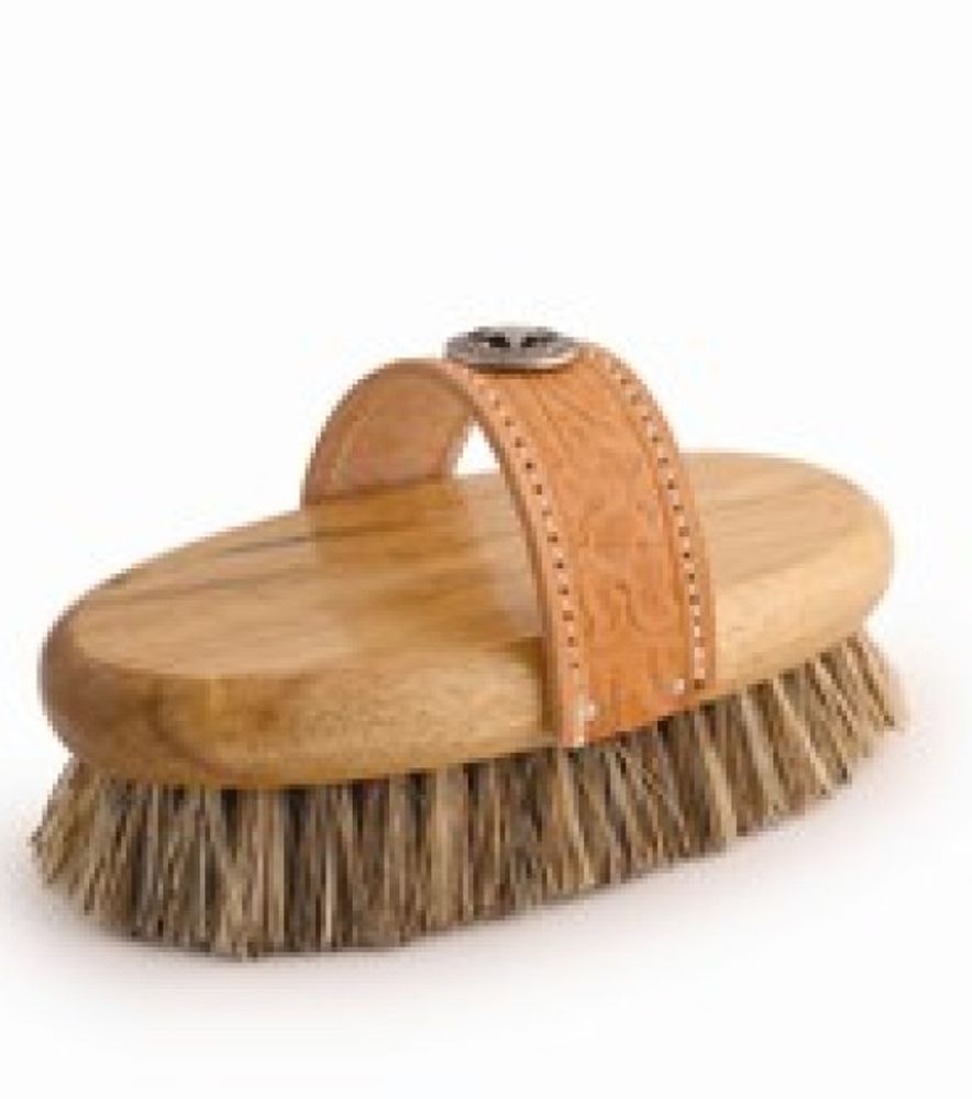 Desert Equestrian, 8" Legends Union Fiber Large Western Style Oval Grooming Brush