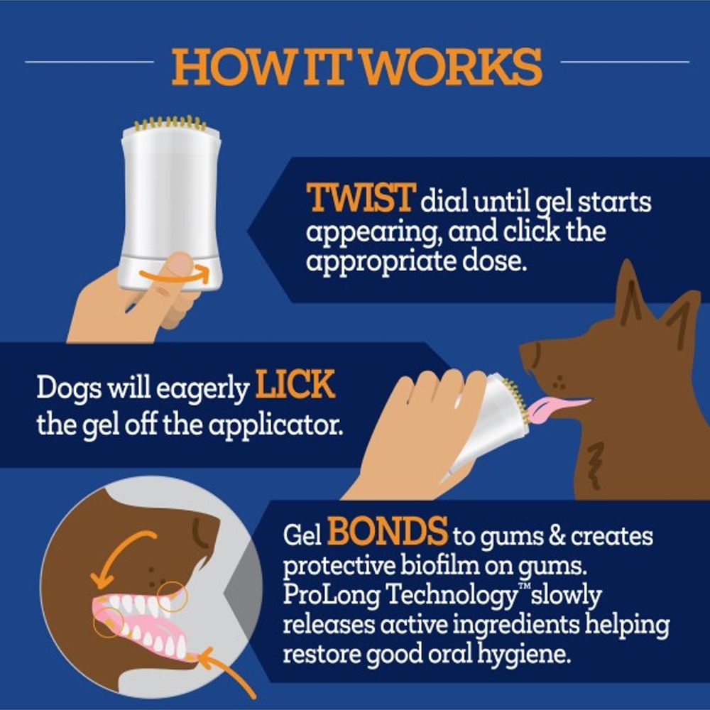 Vetality, Chicken Flavor Brush Free Twist & Lick Oral Gel for Dogs