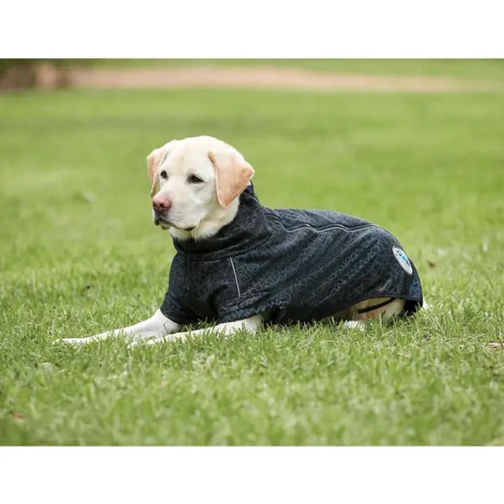 Weatherbeeta, Black ComFiTec Reflective Rainbow Print Active Dog Coat