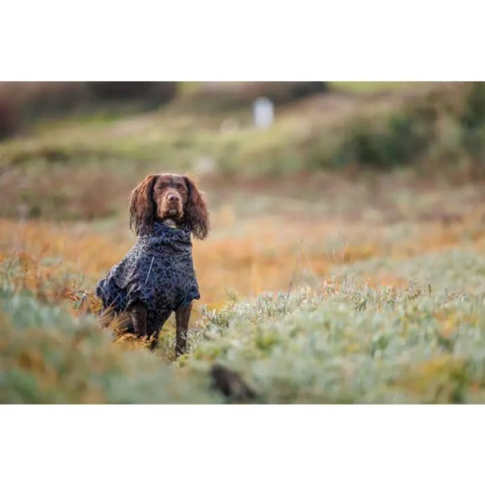 Weatherbeeta, Black ComFiTec Reflective Rainbow Print Active Dog Coat