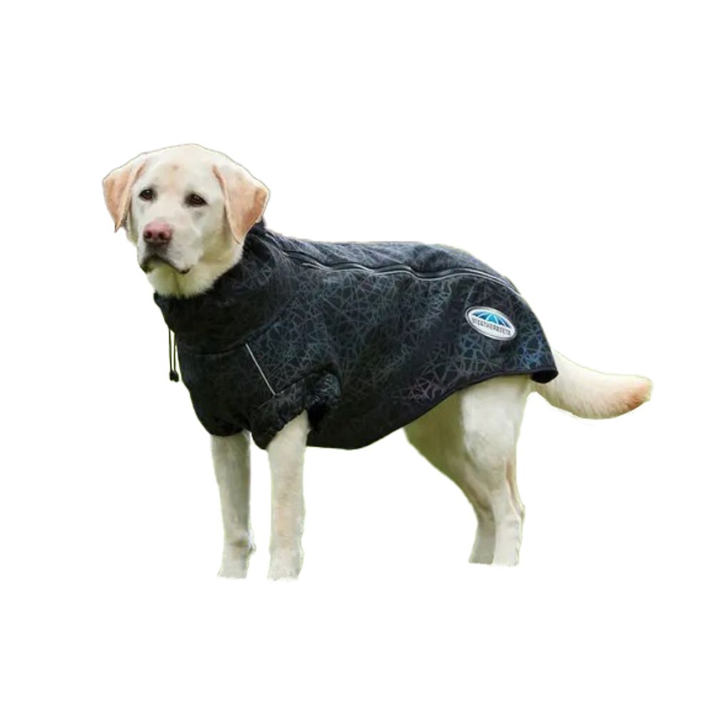 Weatherbeeta, Black ComFiTec Reflective Rainbow Print Active Dog Coat
