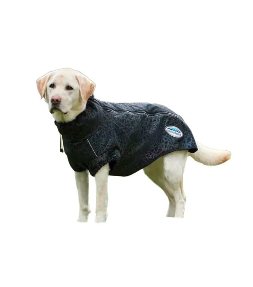 Weatherbeeta, Black ComFiTec Reflective Rainbow Print Active Dog Coat
