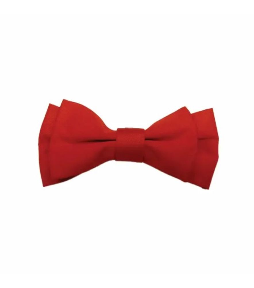 Fashion Pet, Red Bow Tie