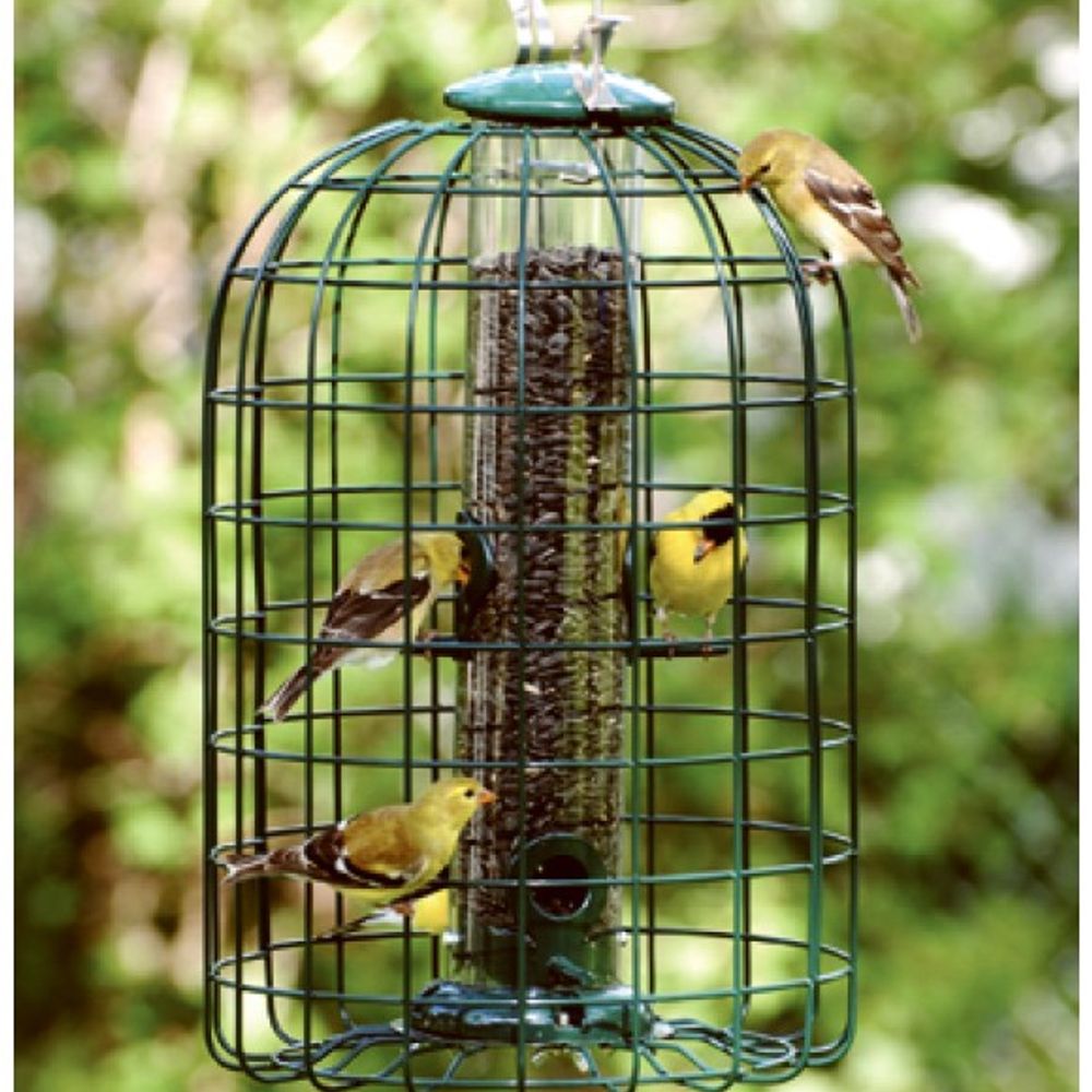 Audubon, Squirrel Resistant Tube Feeder