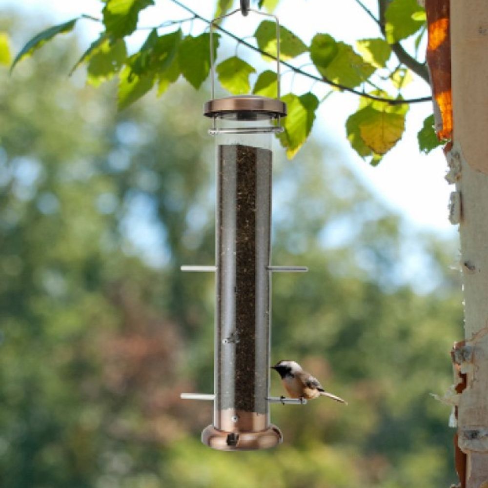 Audubon, 6 Port Copper Nyjer Thistle Finch Tube Feeder 