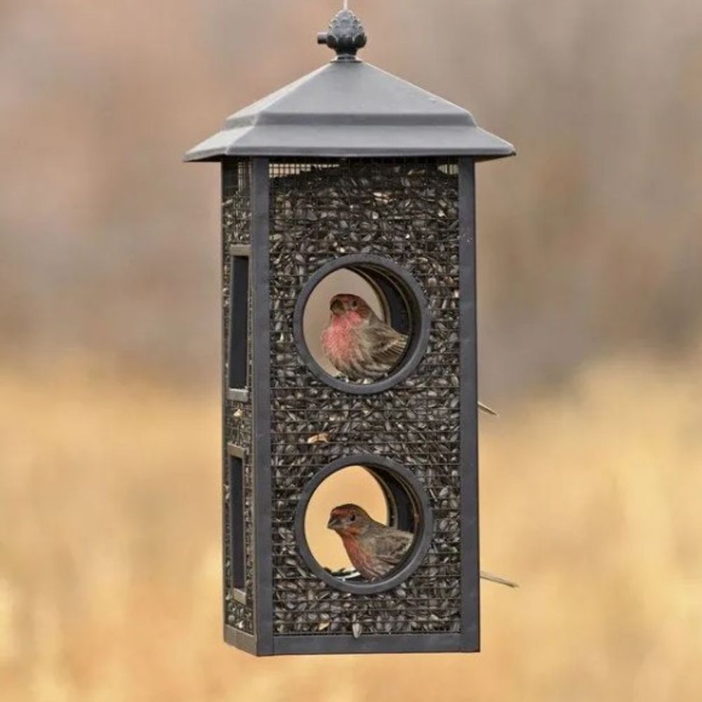 Perky-Pet, Fly-Thru Wild Bird Feeder 