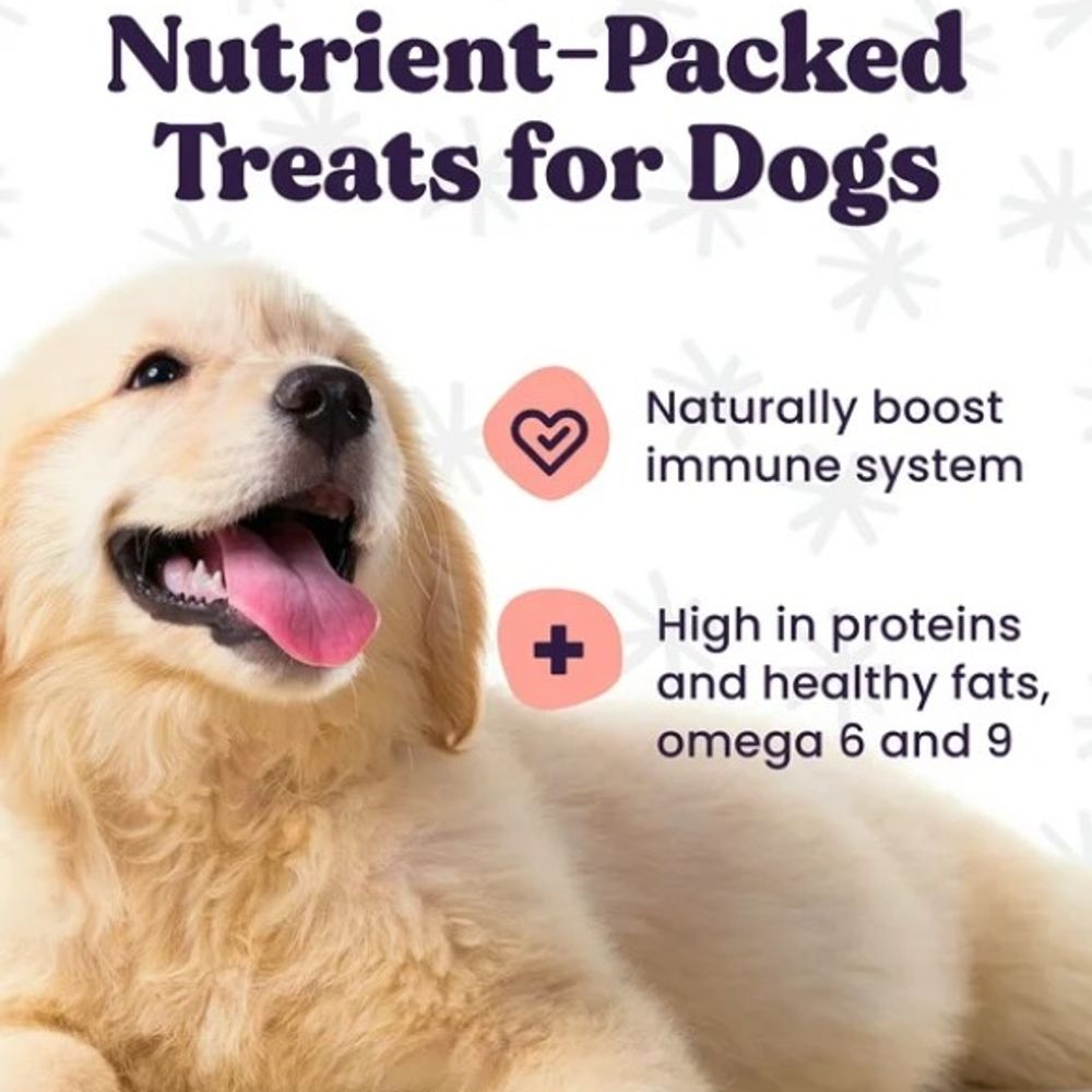 Forager's Feed, Sustainable Insect Protein and Blueberry Dog Treat, 6 oz