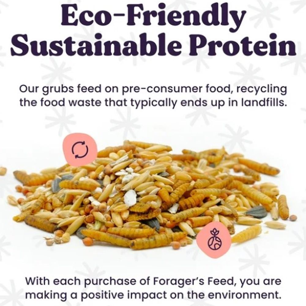 Forager's Feed, Sustainable Insect Protein and Blueberry Dog Treat, 6 oz
