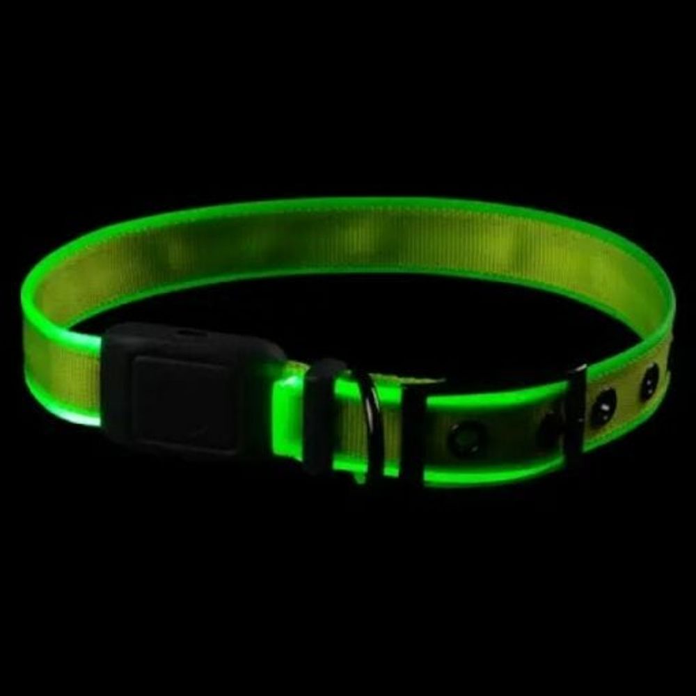 Nite Ize, NiteDog Rechargeable LED Dog Collar