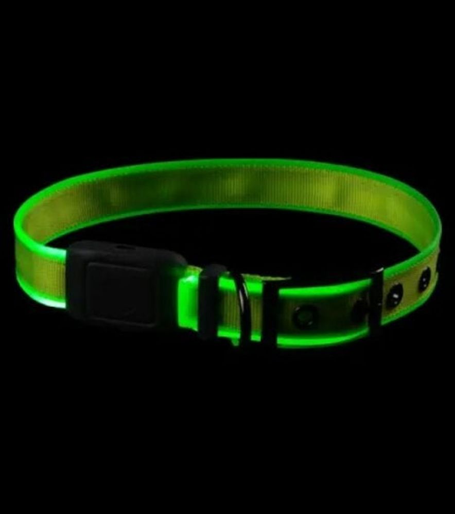 Nite Ize, NiteDog Rechargeable LED Dog Collar