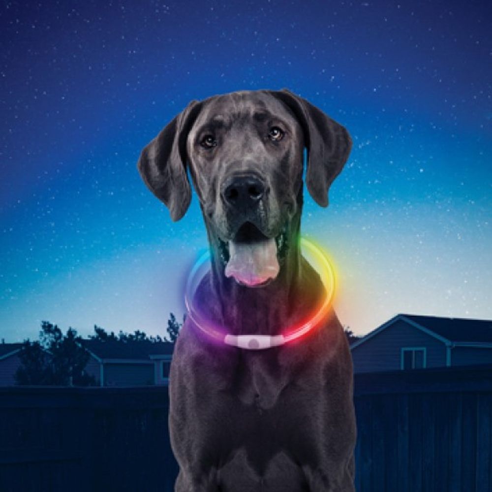 Nite Ize, NightHowl Rechargeable LED Safety Pet Necklace 