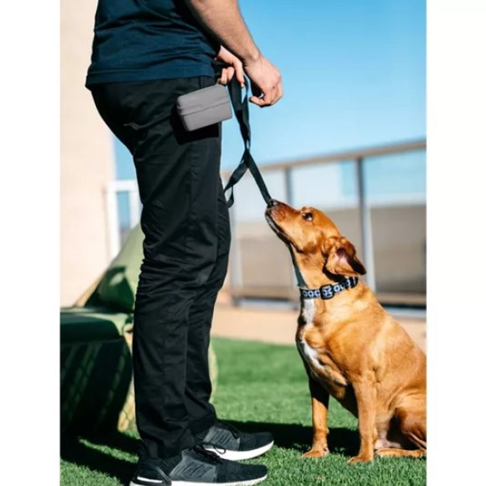 Dexas, Gray Pooch Pouch Clip-On Treat Container