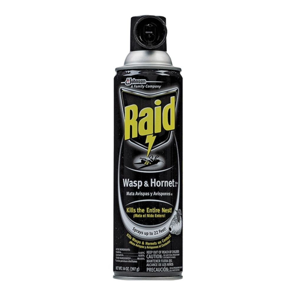 Raid Wasp & Hornet Aerosol, 17.5 oz.