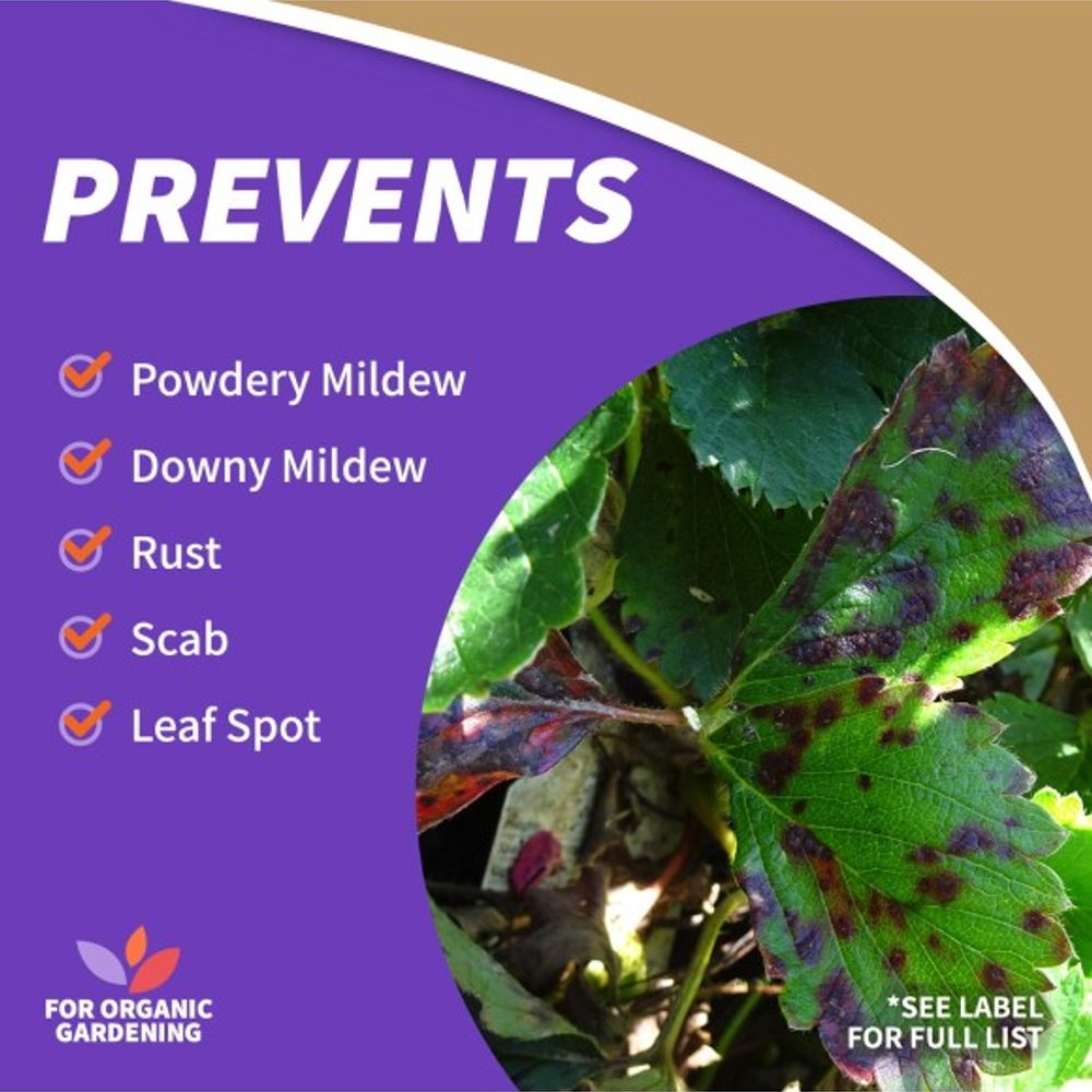 Bonide, Captain Jack's Neem Max RTU with Power Wand, 0.5 gal