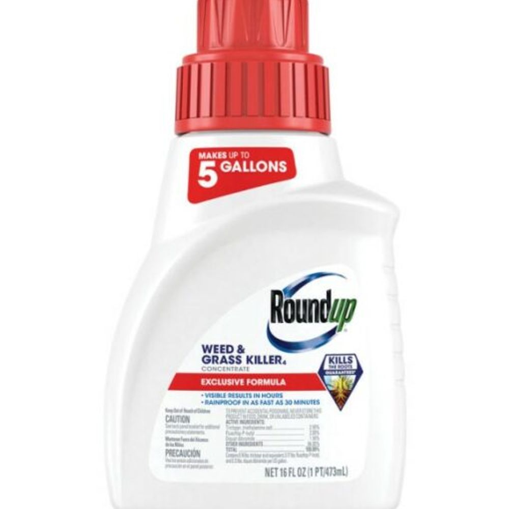 Roundup, Weed & Grass Killer Concentrate 