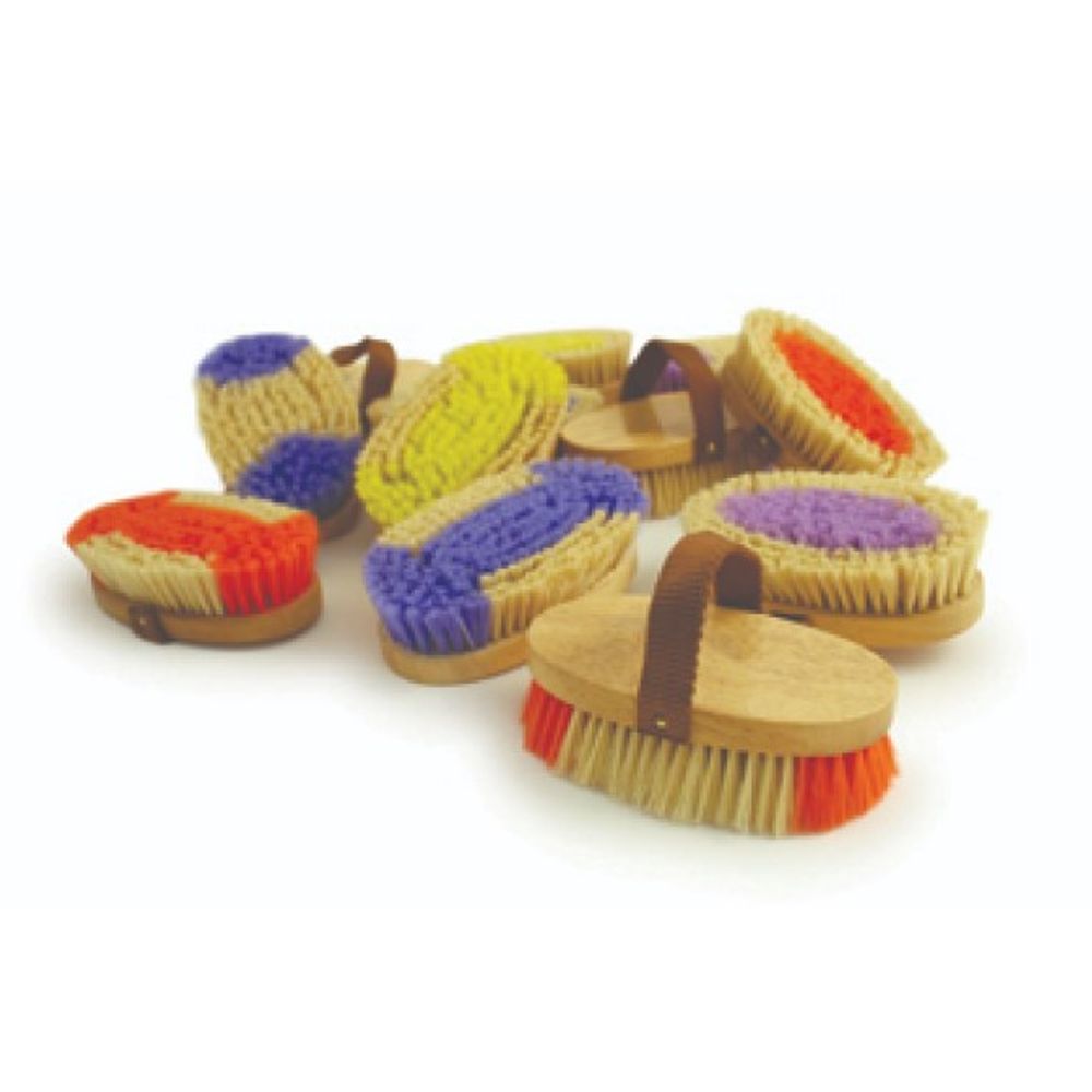 Desert Equestrian, 4.5" PonyExpress Assorted Color LadyBug Brush