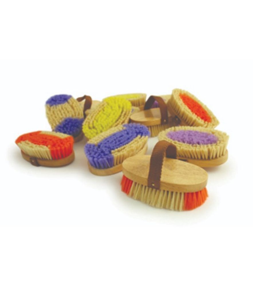 Desert Equestrian, 4.5" PonyExpress Assorted Color LadyBug Brush