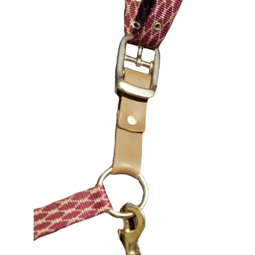 Centaur, Leather Breakaway Fuse, 464243