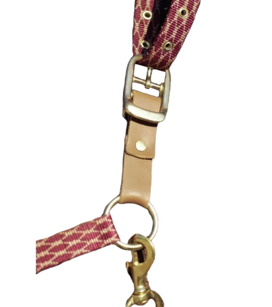 Centaur, Leather Breakaway Fuse, 464243