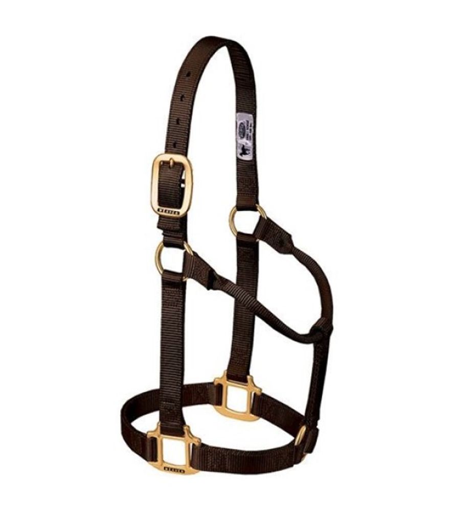 Weaver, 1" Brown Average Original Non-Adjustable Halter