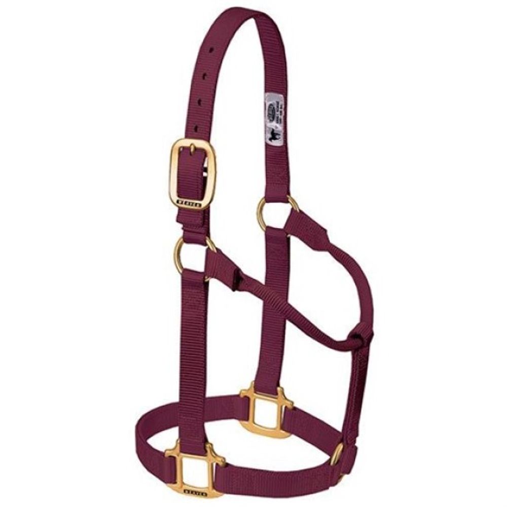 Weaver, 1" Burgundy Average Original Non-Adjustable Halter  