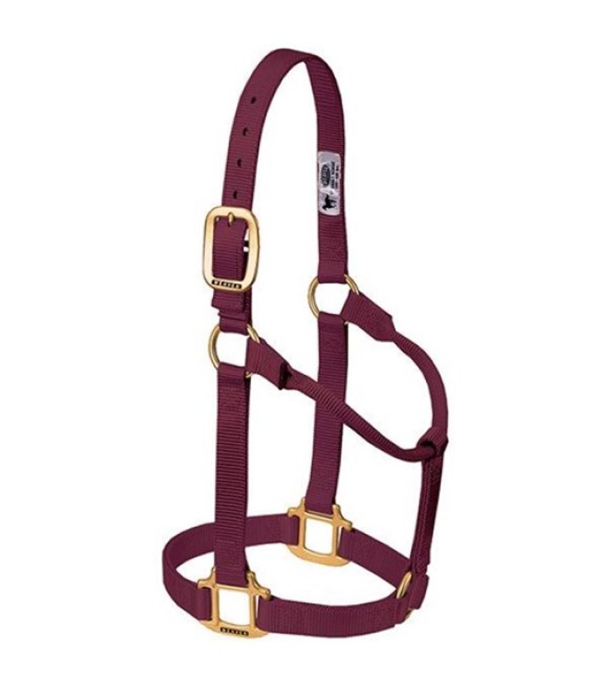 Weaver, 1" Burgundy Average Original Non-Adjustable Halter