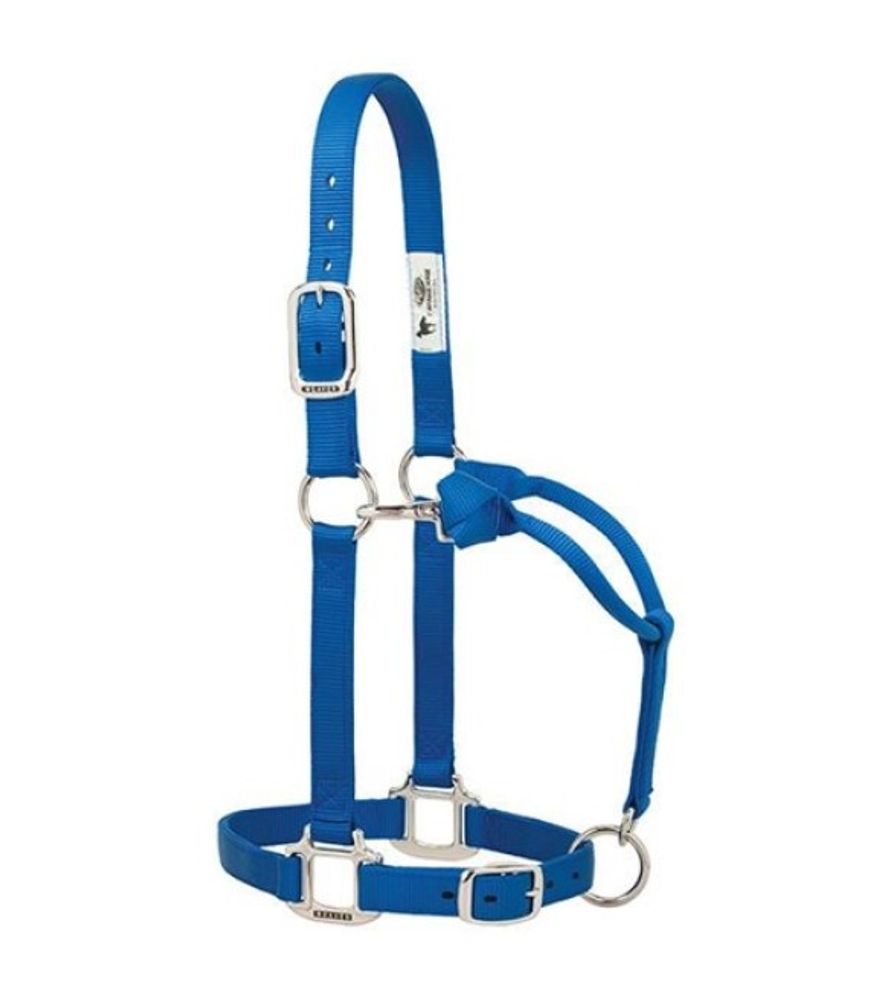 Weaver, 1" Blue Average Original Adjustable Chrome Plated Nylon Halter