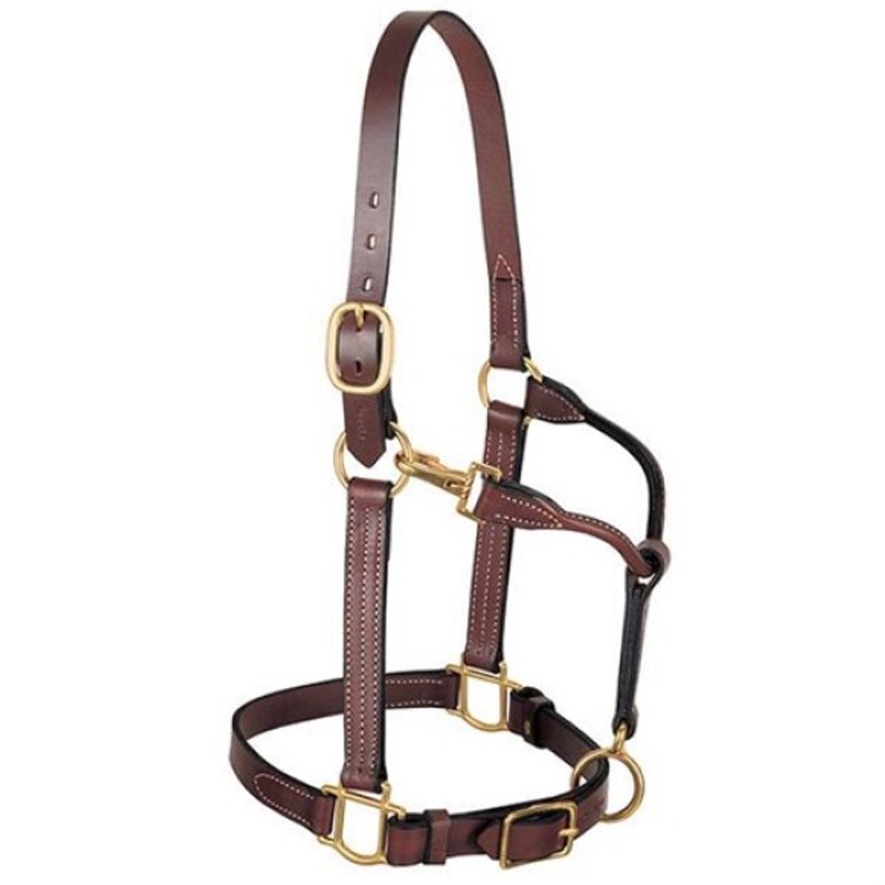 Weaver, 3-in-1 1" All Purpose Horse Halter