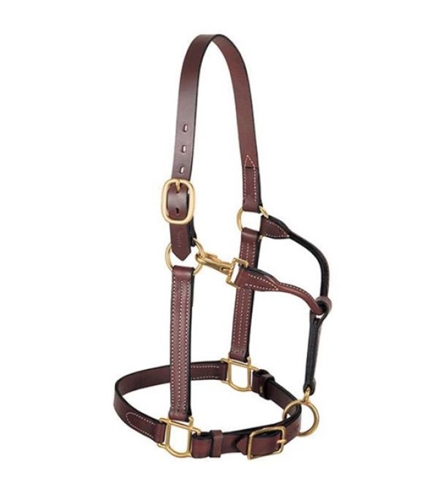 Weaver, 3-in-1 1" All Purpose Horse Halter
