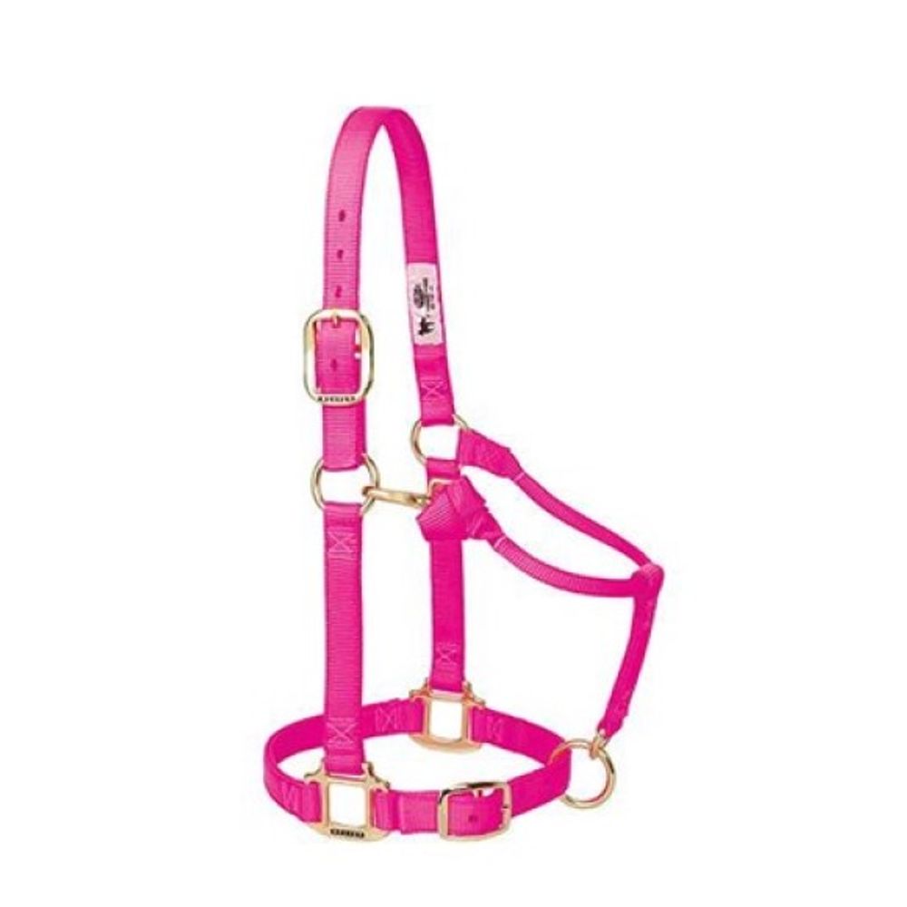Weaver, 1" Diva Pink Average Original Adjustable Chin & Throat Snap Halter  