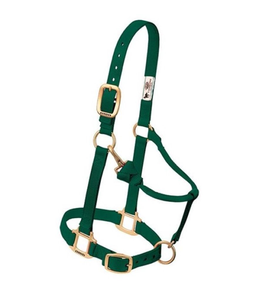 Weaver, 1" Hunter Green Average Original Adjustable Chin & Throat Snap Halter
