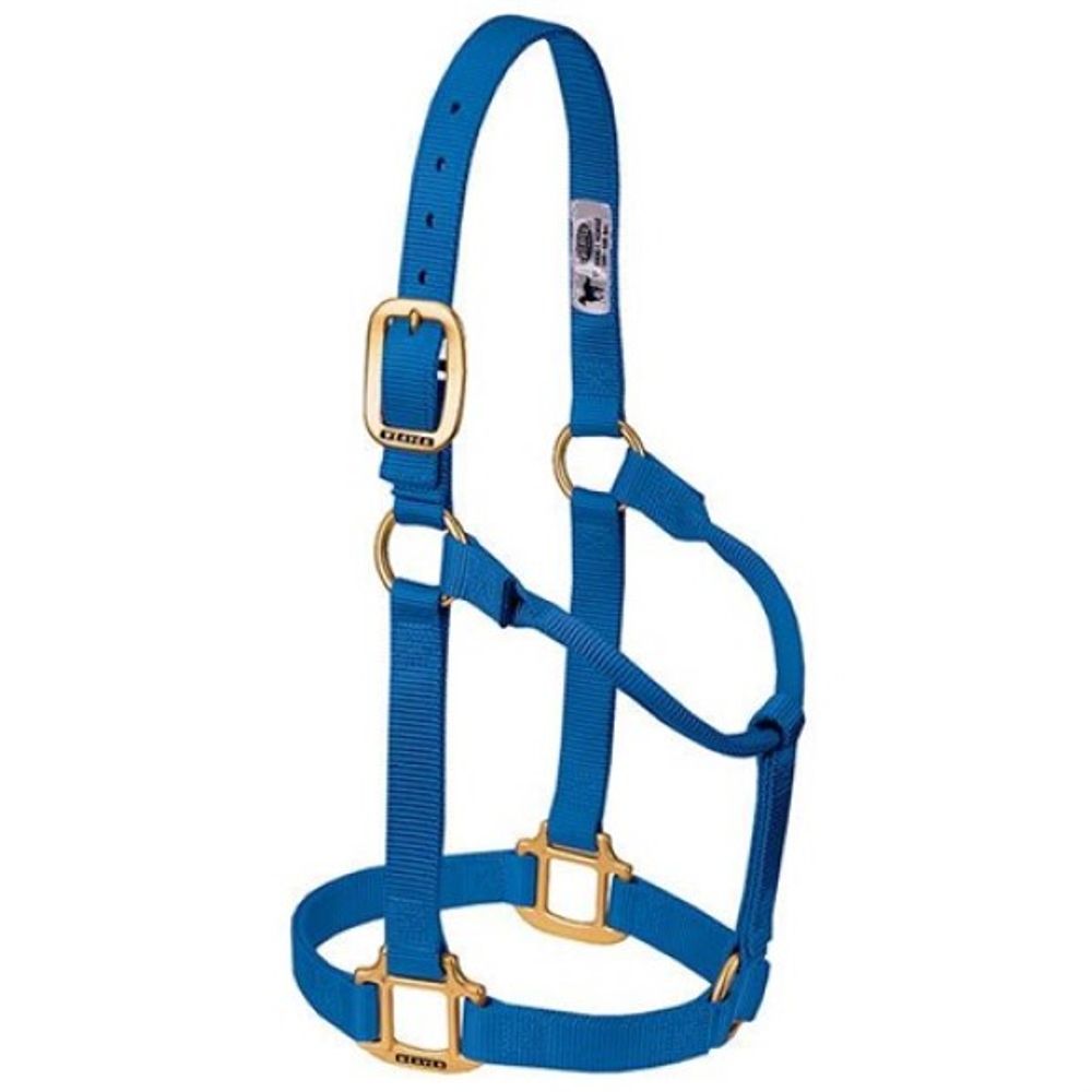 Weaver, 1" Blue Small Original Non-Adjustable Halter