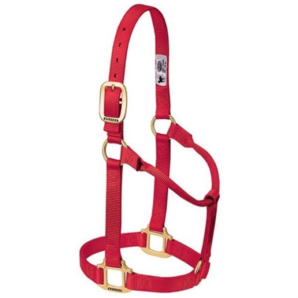 Weaver, 1" Red Average Original Non-Adjustable Halter  