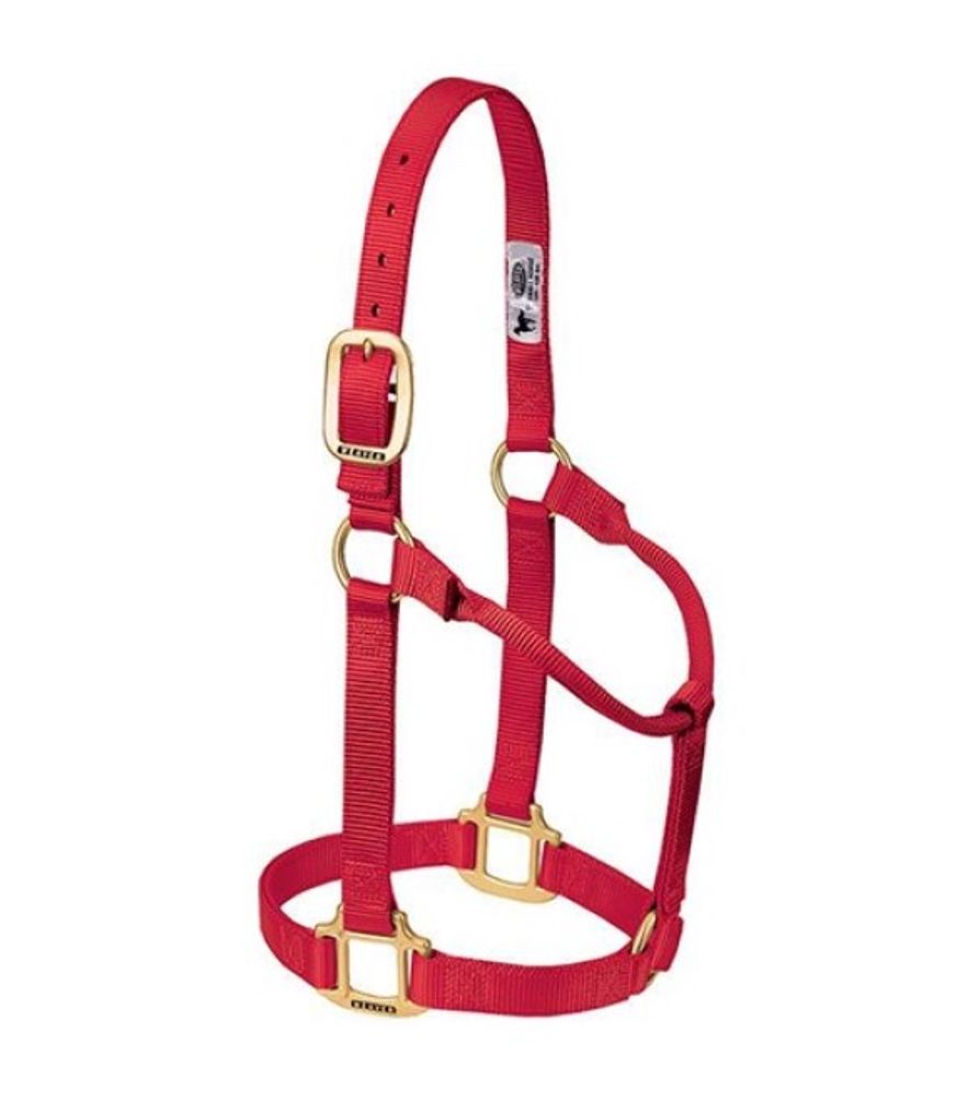 Weaver, 1" Red Average Original Non-Adjustable Halter